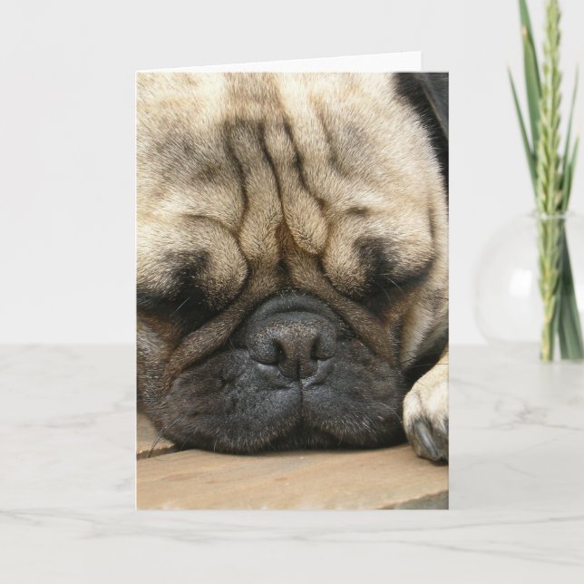 Cartão Sleeping Pug Greeting Card (Frente)
