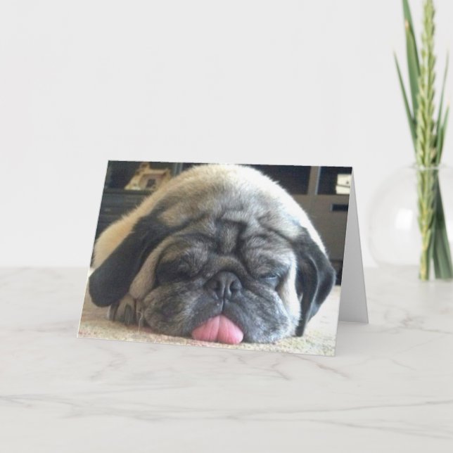 Cartão sleeping pug notecard (Frente)
