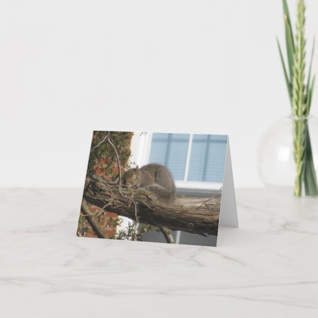 Cartão Sleeping Squirrel (Frente)