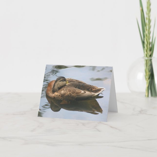Cartão Sleepy Duck Nature Photography Note (Frente)