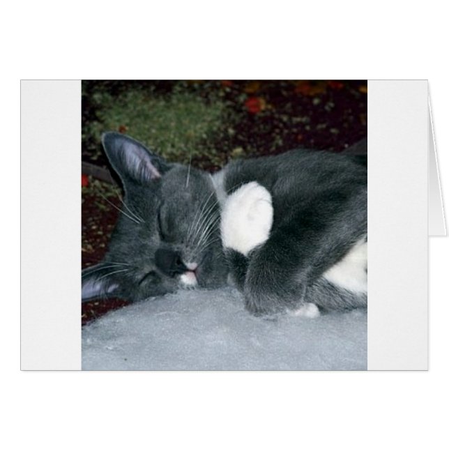 Cartão Sleepy Gus (Frente Horizontal)