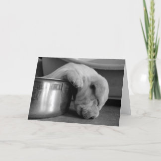 Cartão Sleepy pup greeting card