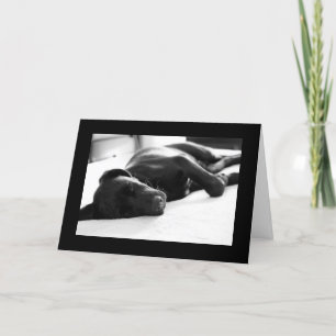 Cartão Sleepy Puppy Labrador Retriever