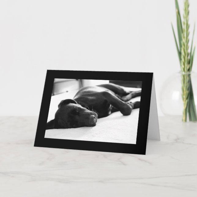 Cartão Sleepy Puppy Labrador Retriever (Frente)