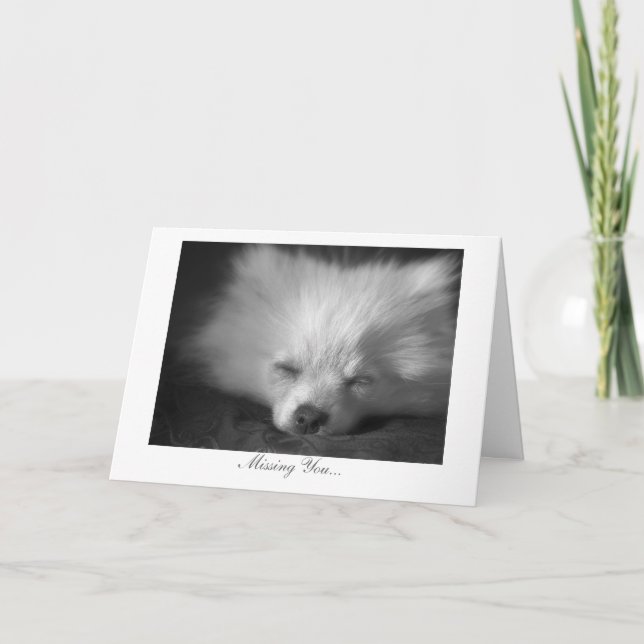 Cartão Sleepy Puppy - Missing You (Frente)
