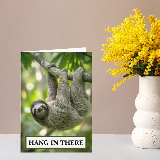 Cartão Sloth Hang In There Encouragement (Hang in there sloth encouragement card)