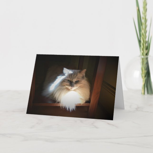 Cartão Slow Days, card (Frente)