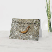 Slug-Deserves a Chance.