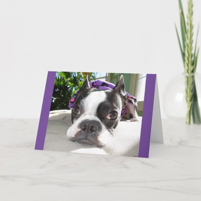 Cartão Smallish Nap... or TWO! Lola B. Boston (Frente)