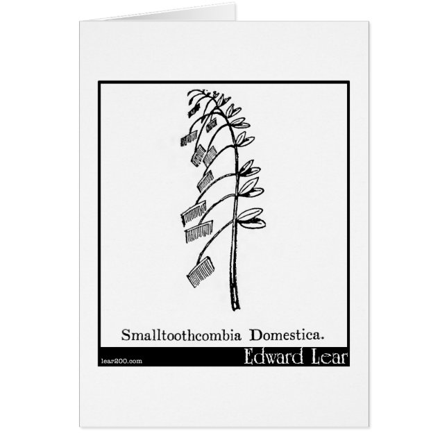 Cartão Smalltoothcombia Domestica. (Frente)