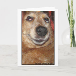 Cartão "Smile with your eyes" Card