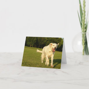 Cartão Smiling Angel