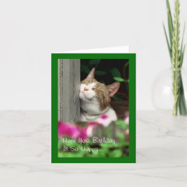 Cartão Smiling Cat Birthday Card