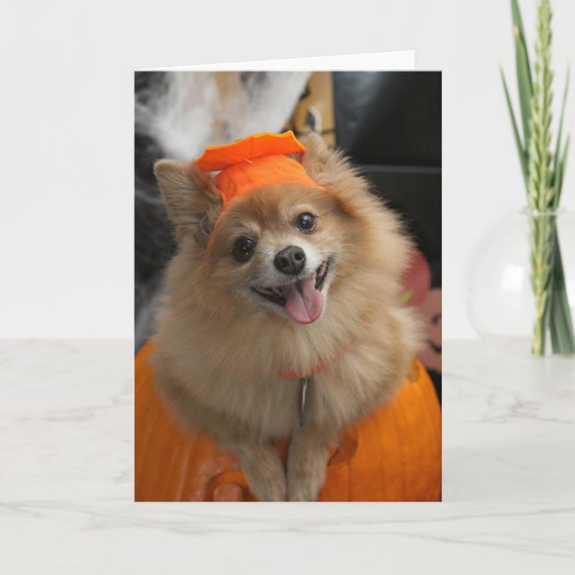Cartão Smiling Foxy Pomeranian Puppy in Pumpkin Halloween (Frente)