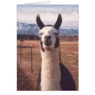 Cartão "Smiling Llama"