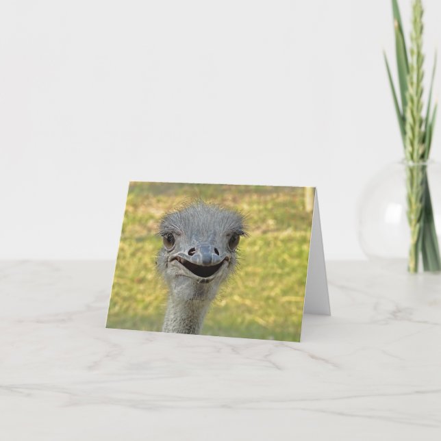 Cartão Smiling Ostrich Note Card (Frente)