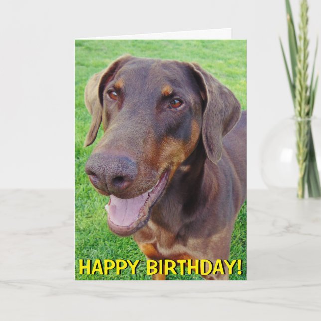 Cartão Smiling red dobermann birthday card (Frente)