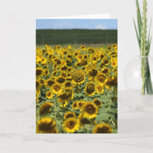 Cartão Smiling Sunflower - Encouragement Greeting Card