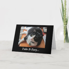 Cartão Smokey The Cat Get Well Soon Card