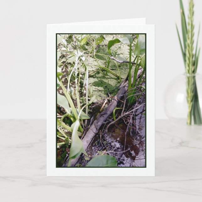 Cartão Snake Sunbath Greeting Card (Frente)