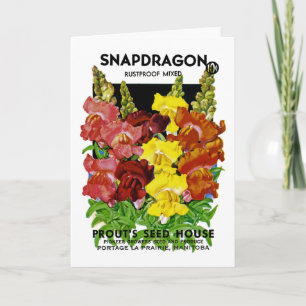 Cartão Snapdragon Vintage Seed Packet