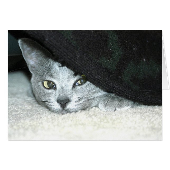 Cartão Sneaky Karma (Frente Horizontal)