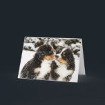 Cartão Sniff dos fantoches do cão de montanha de Bernese<br><div class="desc">Os fantoches nevado do cão de montanha bernese sniff cada outro</div>