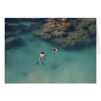 Cartão Snorklers