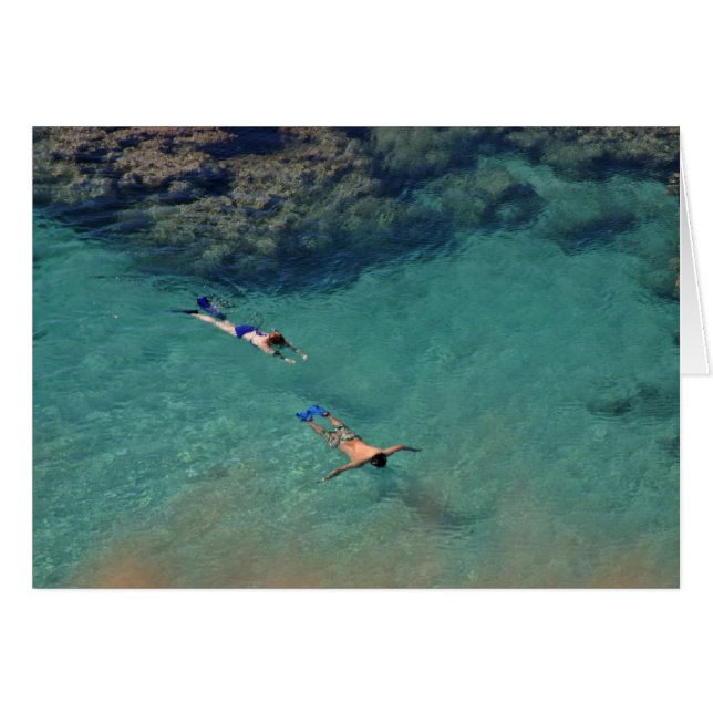 Cartão Snorklers 2 (Frente horizontal)