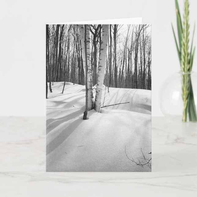 Cartão Snow and White Birches (Frente)