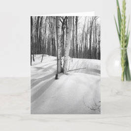 Cartão Snow and White Birches