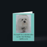 Cartão Snow Angels Coton Funny Birthday Card<br><div class="desc">Say Happy Birthday to a friend or loved one with a winter birthday. On the cover is a white Coton dog. Make long distance snow angels to celebrate!</div>