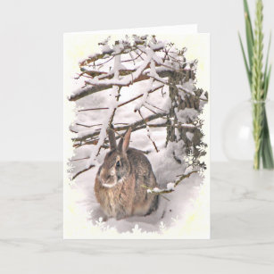 Cartão Snow Bunny Birthday