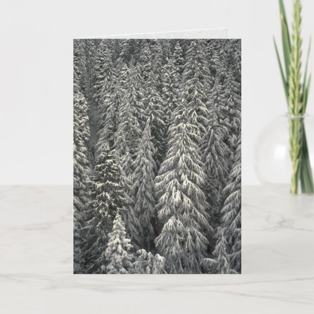 Cartão Snow-covered pine trees (Frente)