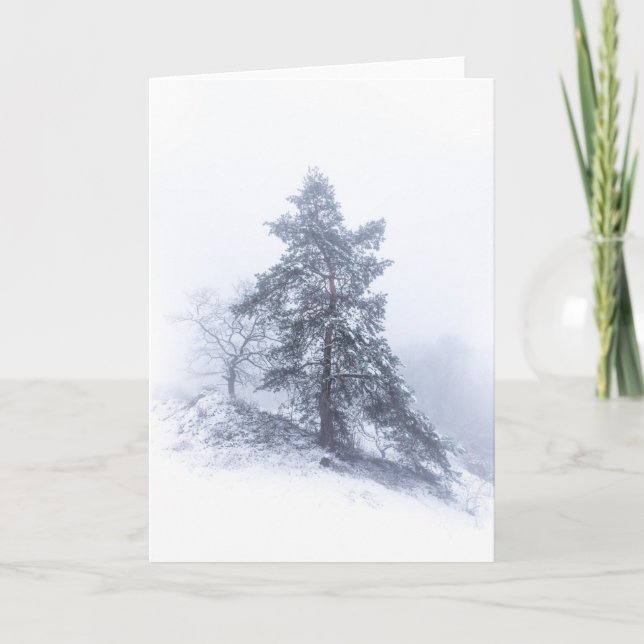 Cartão Snow-covered Tree Photo Card (Frente)