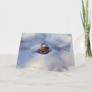 Cartão Snow Gnome