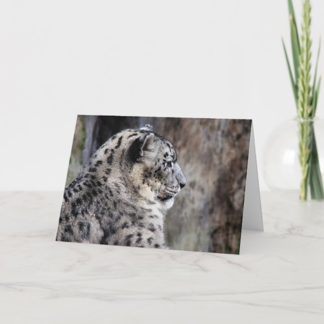Cartão Snow leopard greeting card (Frente)