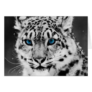 Cartão Snow Lepard