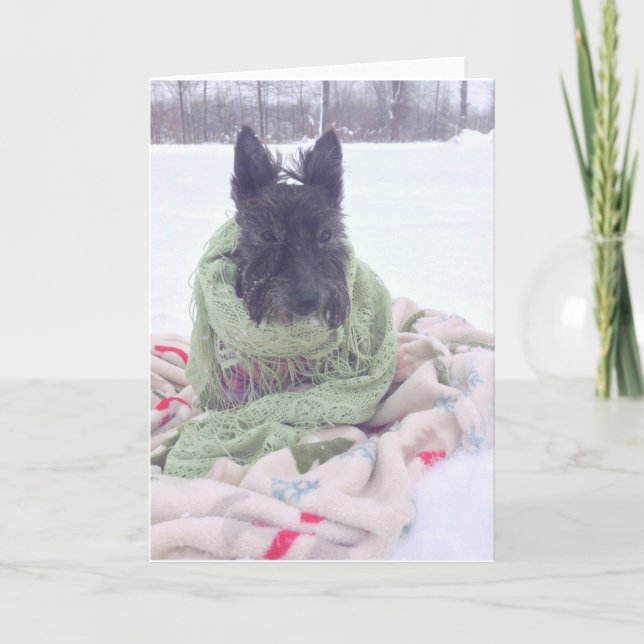 Cartão Snow Scottie (Frente)