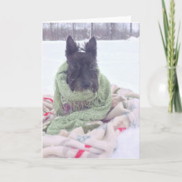 Cartão Snow Scottie