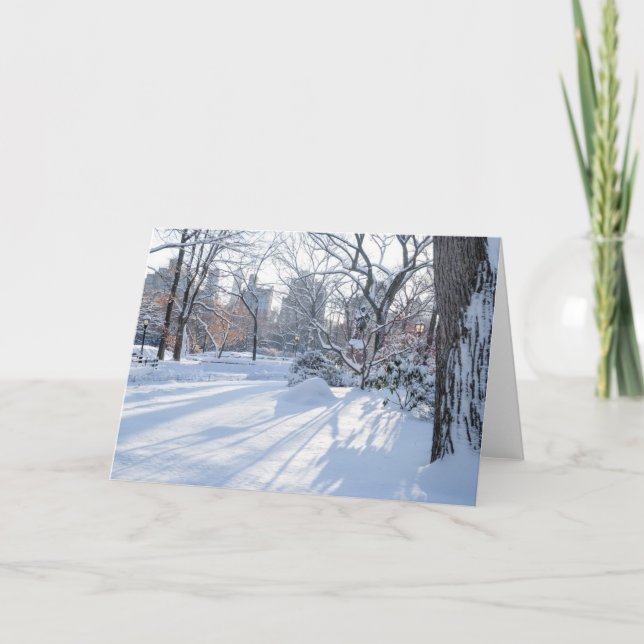 Cartão Snow Shadows (Frente)