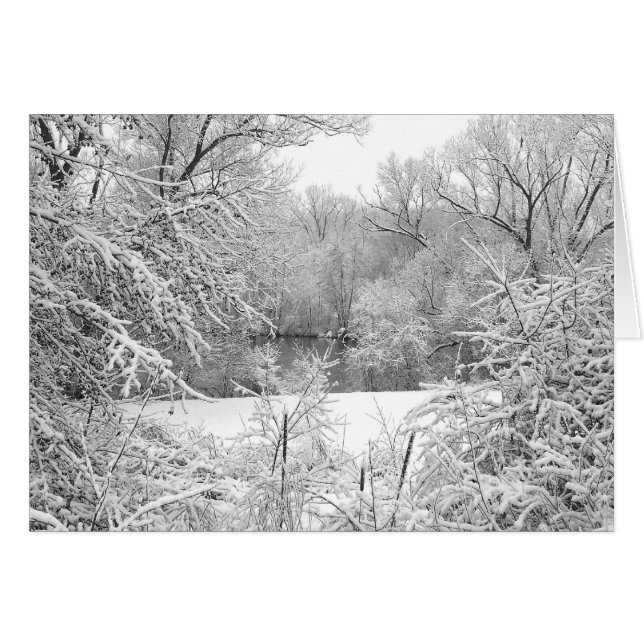 Cartão Snow Storm (Frente Horizontal)