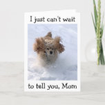 CARTÃO **SNOWBOUND COMEDIC DOG** FOR MOM'S BIRTHDAY<br><div class="desc">MY SNOWBOUND COCKER SPANIEL IS IN A HUGE RUSH TO SAY "HOW GLAD I AM IT IS  YOUR BIRTHDAY,  MOM! AND,  WHEN DO WE "HAVE CAKE"</div>