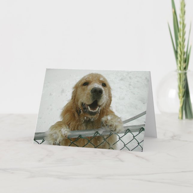 Cartão Snowdog (Frente)