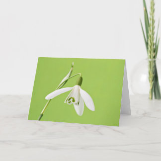 Cartão Snowdrop