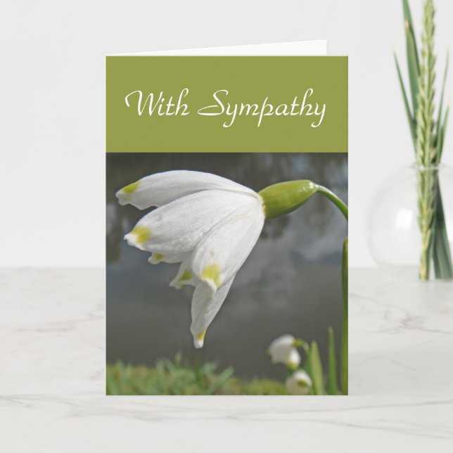 Cartão Snowdrop card (Frente)