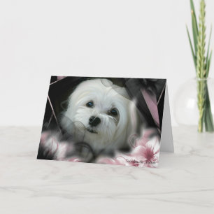 Cartão Snowdrop the Maltese Birthday Card