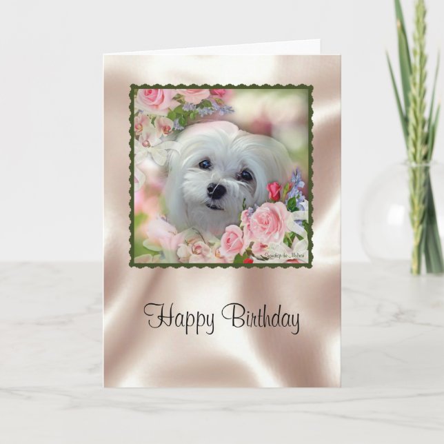 Cartão Snowdrop the Maltese Birthday Card (Frente)