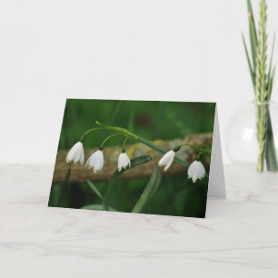 Cartão Snowdrops