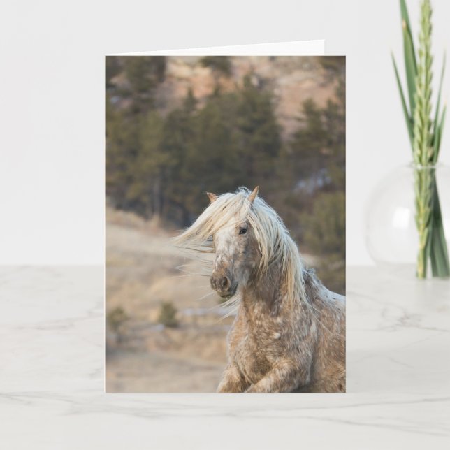 Cartão Snowfall - Galloping to Freedom Greeting Card (Frente)